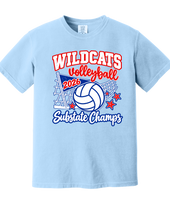 2026 Hanover VB Substate Champs