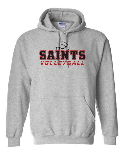 CFS VB 25 Hoodie - Gildan