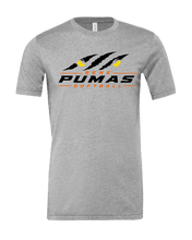 SENE Puma 2026 Bella Puma Eyes 1