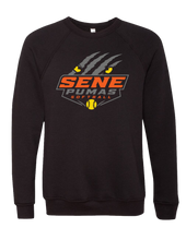 SENE Puma 2026 Bella Puma Eyes 2
