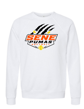 SENE Puma 2026 Bella Puma Eyes 2